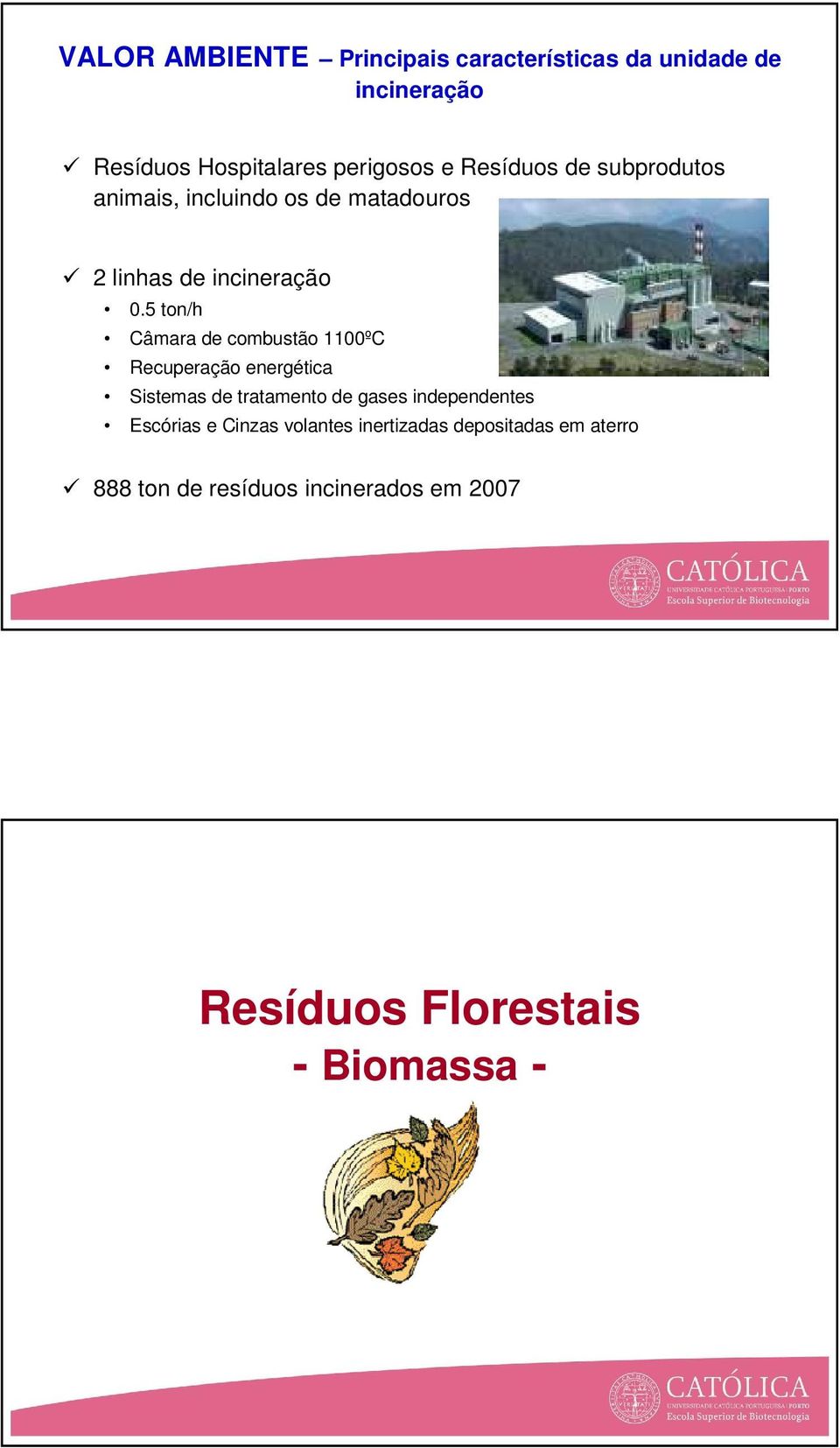 5 ton/h Câmara de combustão 1100ºC Recuperação energética Sistemas de tratamento de gases independentes