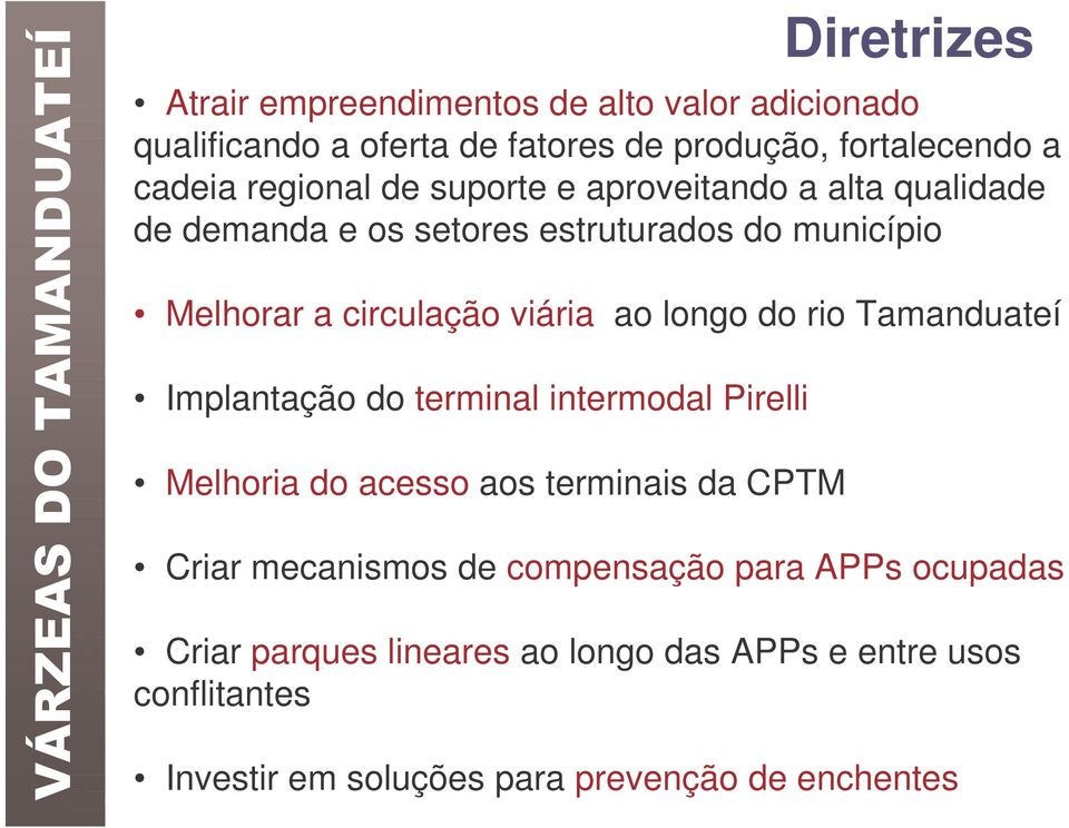 longo do rio Tamanduateí Implantação do terminal intermodal Pirelli Melhoria do acesso aos terminais da CPTM Criar mecanismos de