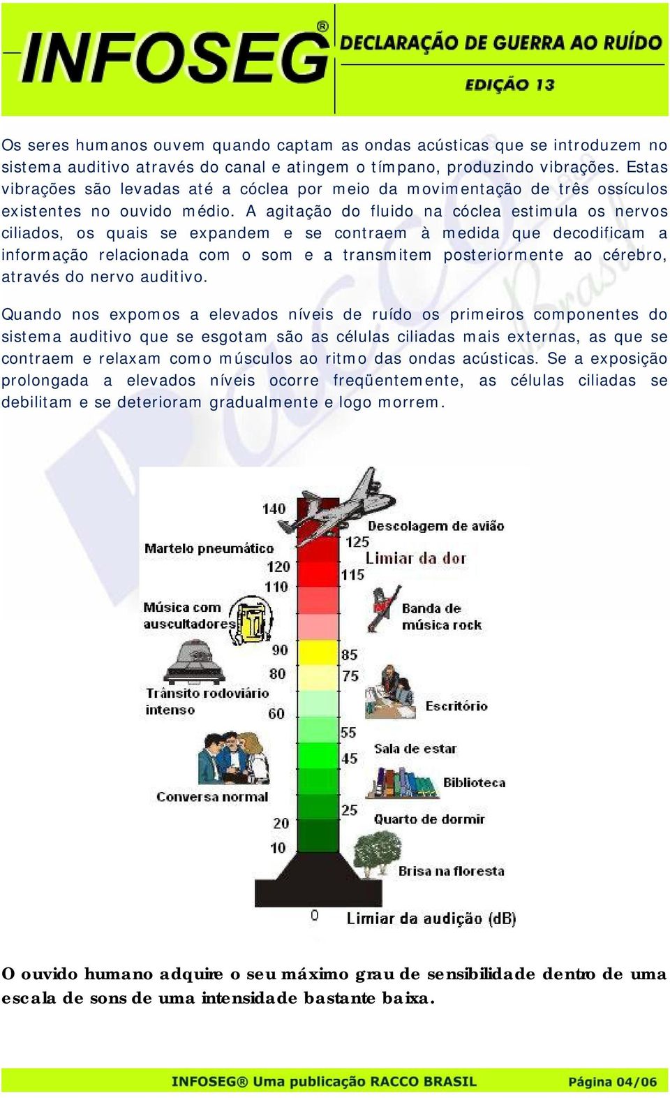 A agitação do fluido na cóclea estimula os nervos ciliados, os quais se expandem e se contraem à medida que decodificam a informação relacionada com o som e a transmitem posteriormente ao cérebro,