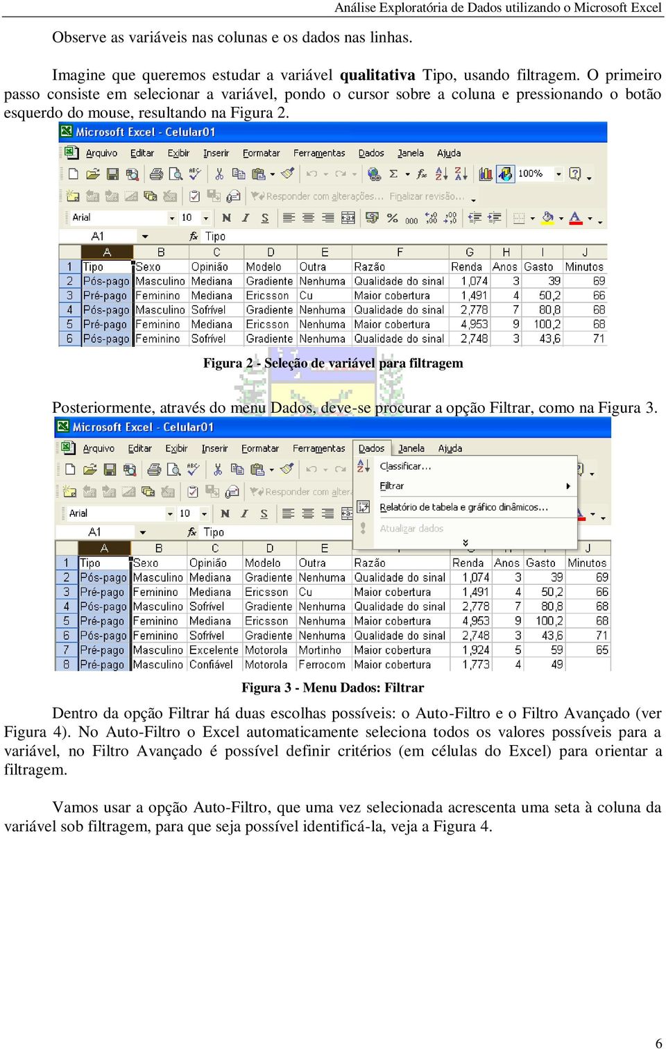 Figura 2 - Seleção de variável para filtragem Posteriormente, através do menu Dados, deve-se procurar a opção Filtrar, como na Figura 3.