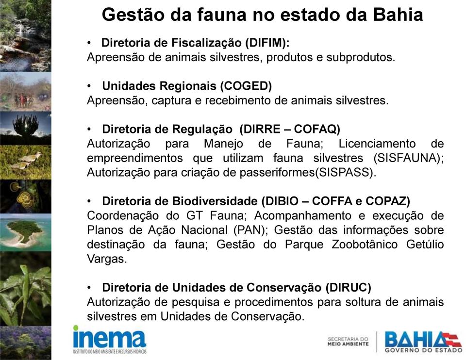 Diretoria de Regulação (DIRRE COFAQ) Autorização para Manejo de Fauna; Licenciamento de empreendimentos que utilizam fauna silvestres (SISFAUNA); Autorização para criação de passeriformes(sispass).