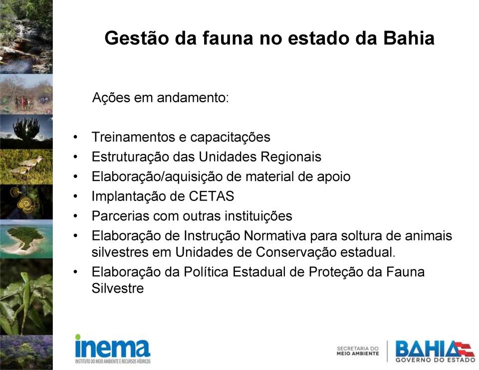 com outras instituições Elaboração de Instrução Normativa para soltura de animais silvestres em