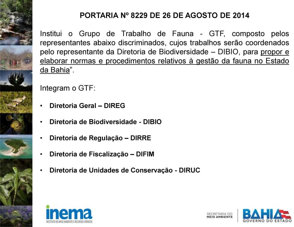 elaborar normas e procedimentos relativos à gestão da fauna no Estado da Bahia.