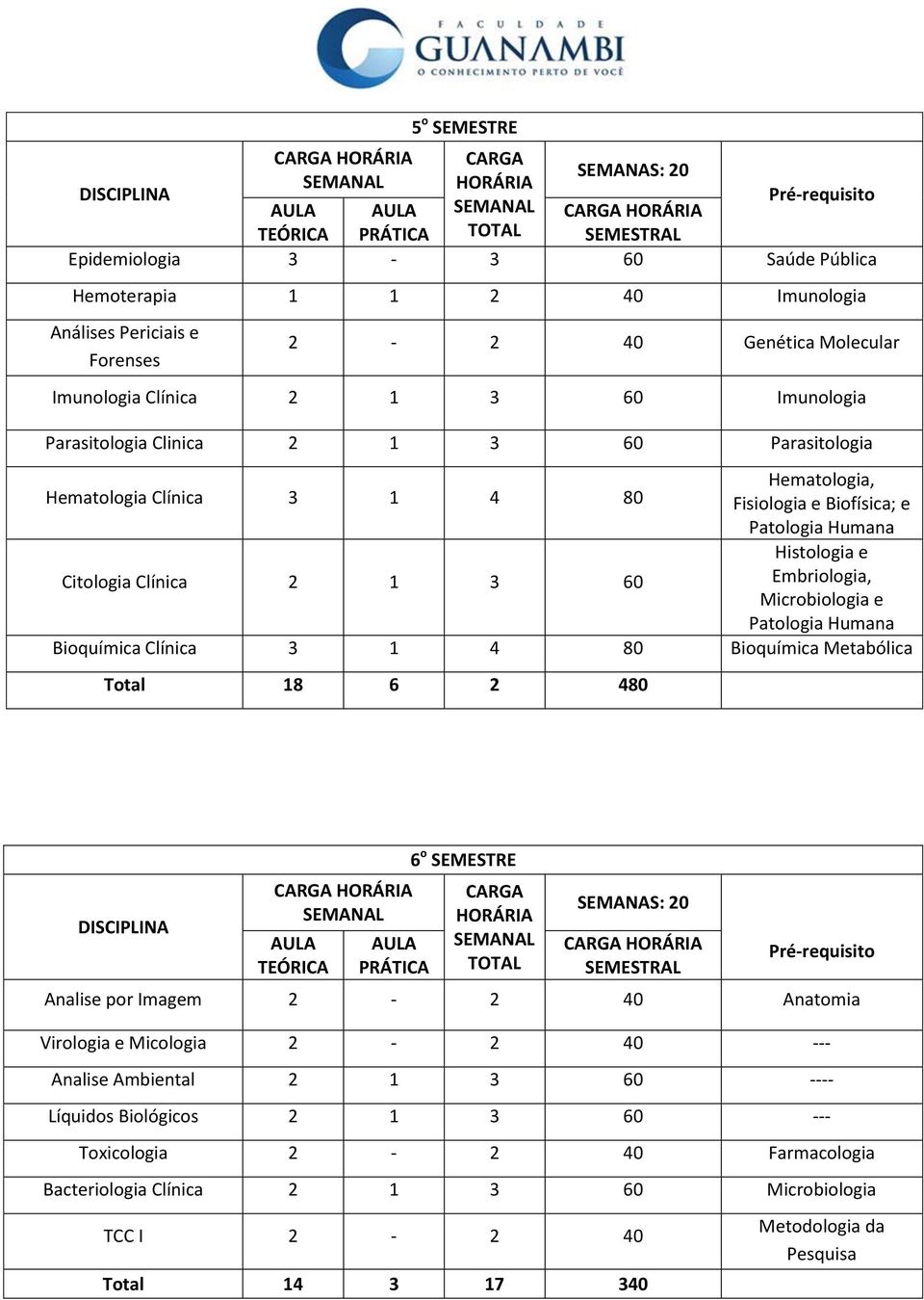 Microbiologia e Patologia Humana Bioquímica Clínica 3 1 4 80 Bioquímica Metabólica Total 18 6 2 480 6 o SEMESTRE Analise por Imagem 2-2 40 Anatomia Virologia e Micologia 2-2 40