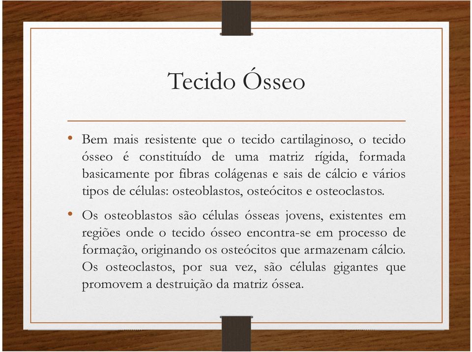 Os osteoblastos são células ósseas jovens, existentes em regiões onde o tecido ósseo encontra-se em processo de formação,