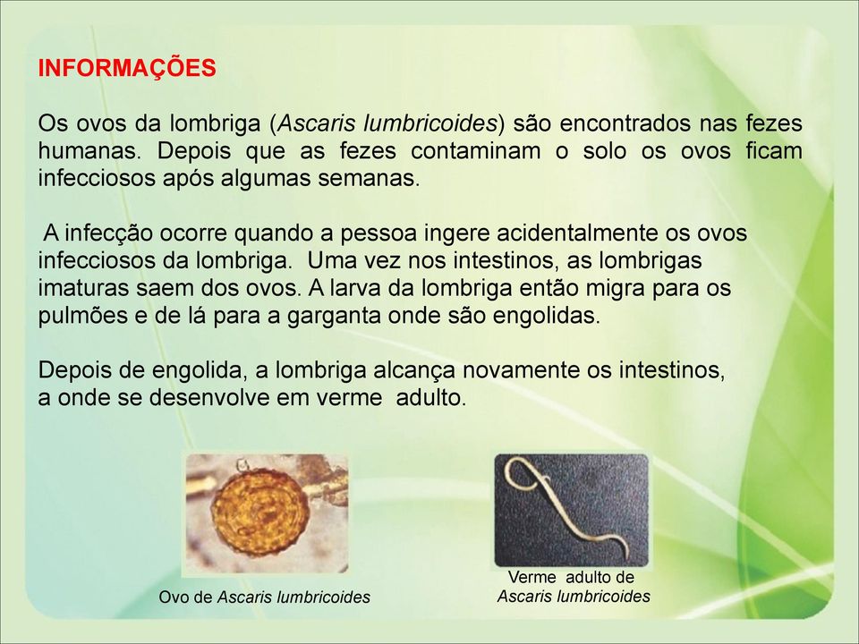 A infecção ocorre quando a pessoa ingere acidentalmente os ovos infecciosos da lombriga.