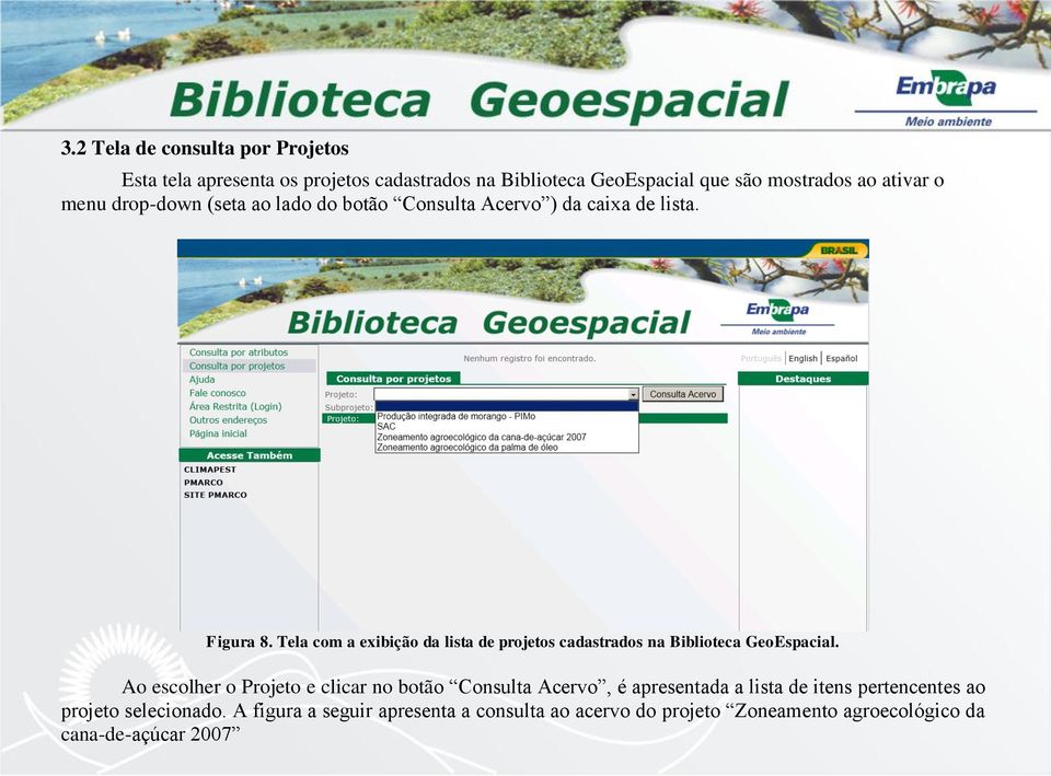 Tela com a exibição da lista de projetos cadastrados na Biblioteca GeoEspacial.