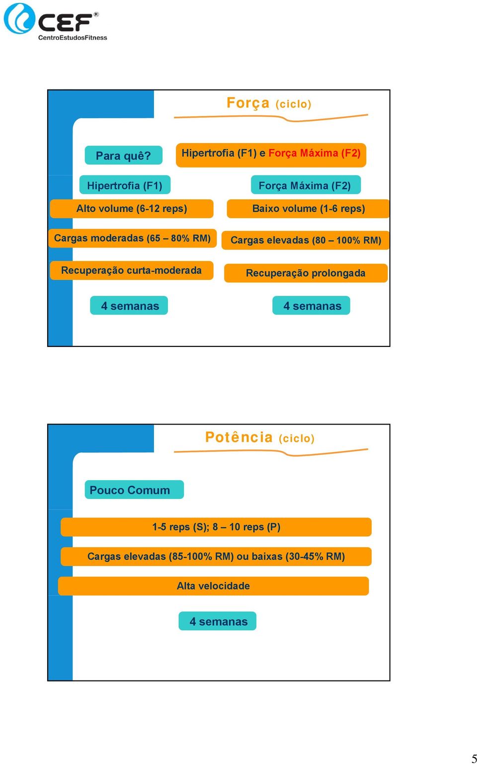 volume (1-6 reps) Cargas moderadas (65 80% RM) Cargas elevadas (80 100% RM) Recuperação