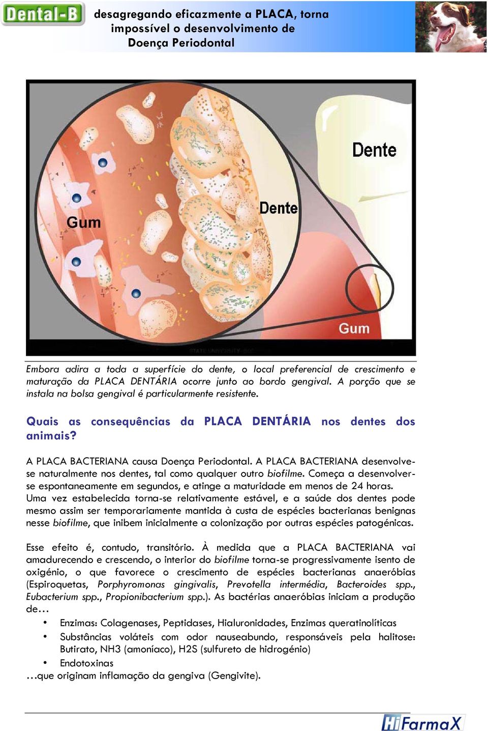 A PLACA BACTERIANA causa Doença Periodontal. A PLACA BACTERIANA desenvolvese naturalmente nos dentes, tal como qualquer outro biofilme.