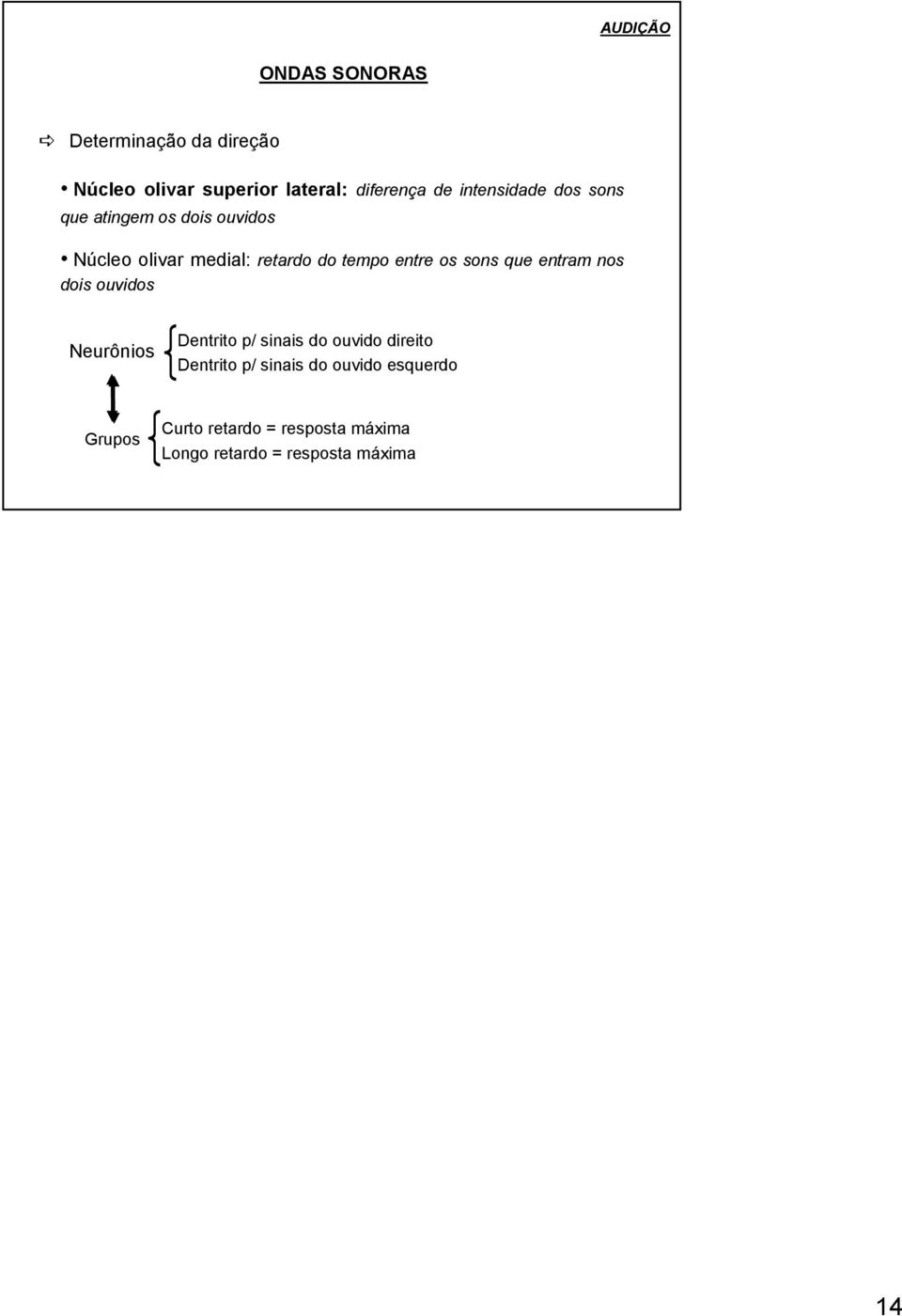 entre os sons que entram nos dois ouvidos Neurônios Dentrito p/ sinais do ouvido direito
