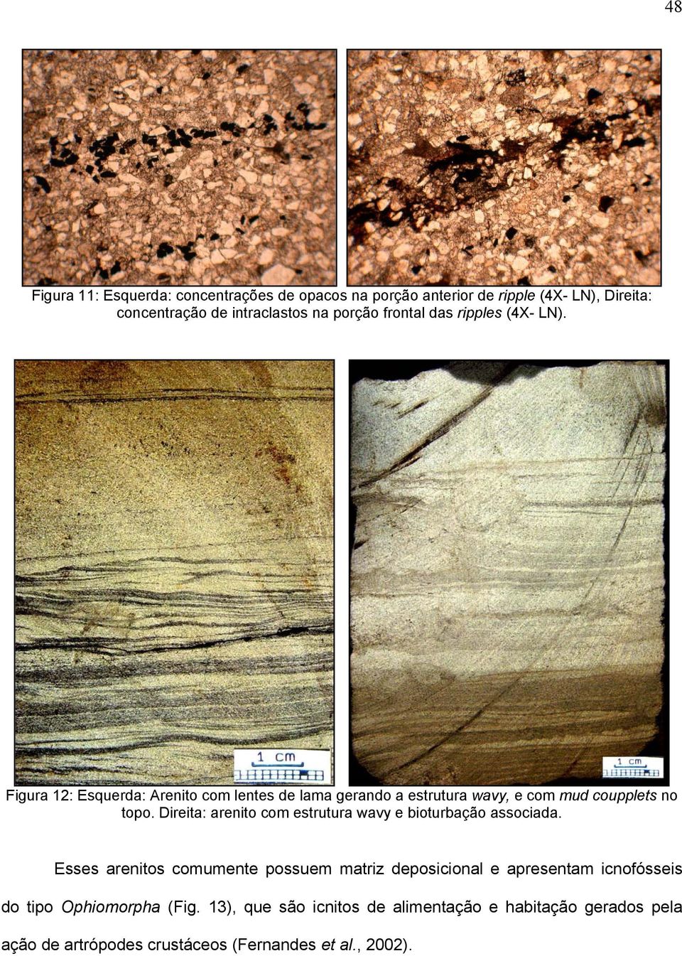 Direita: arenito com estrutura wavy e bioturbação associada.