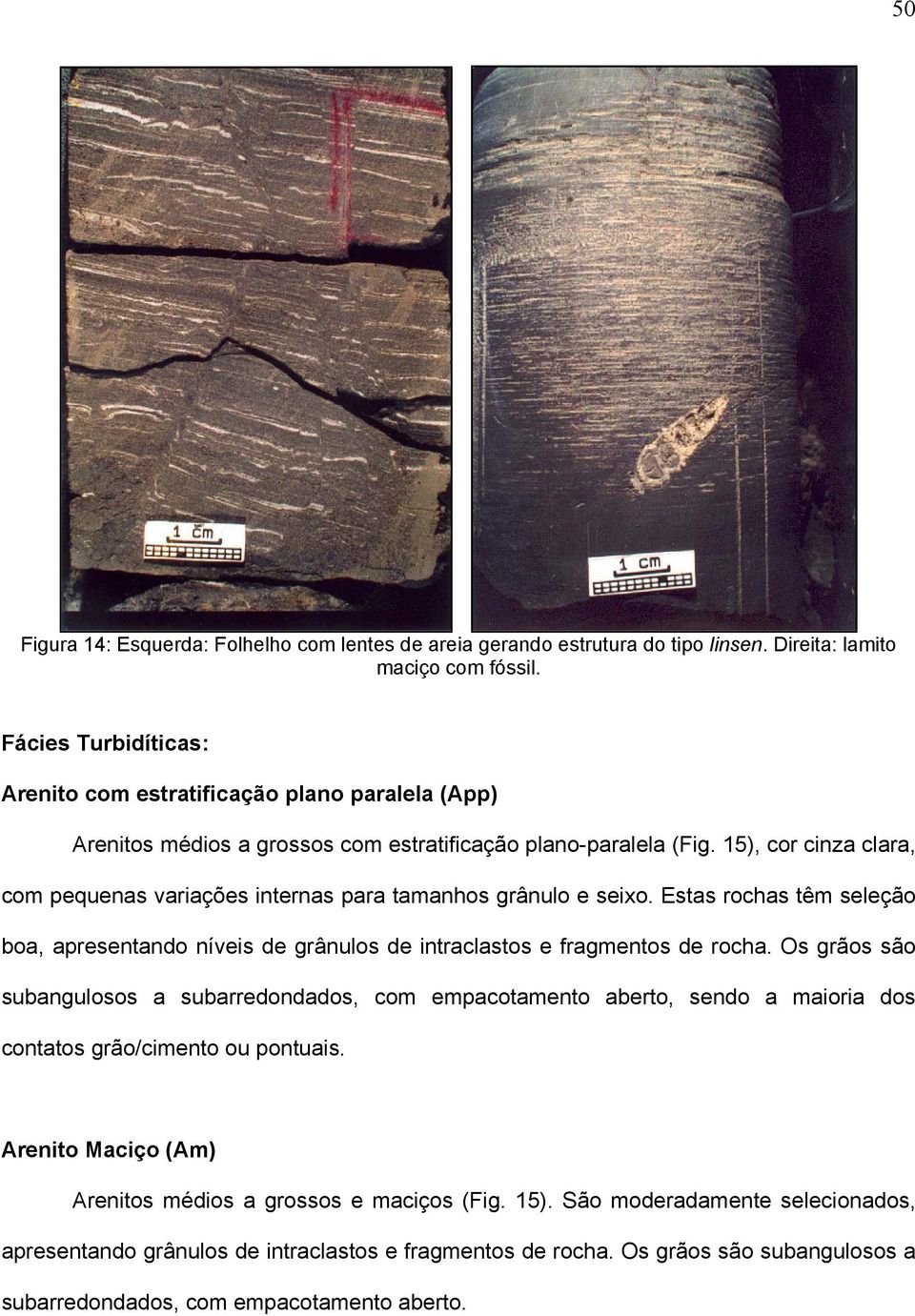 15), cor cinza clara, com pequenas variações internas para tamanhos grânulo e seixo. Estas rochas têm seleção boa, apresentando níveis de grânulos de intraclastos e fragmentos de rocha.