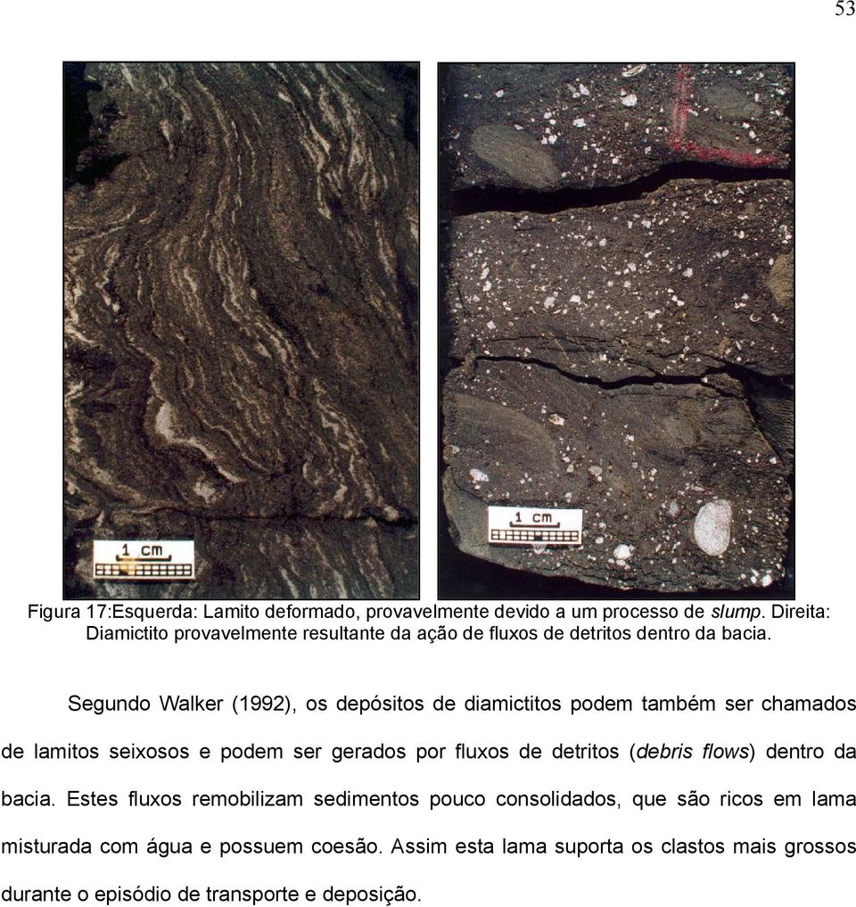 Segundo Walker (1992), os depósitos de diamictitos podem também ser chamados de lamitos seixosos e podem ser gerados por fluxos de detritos