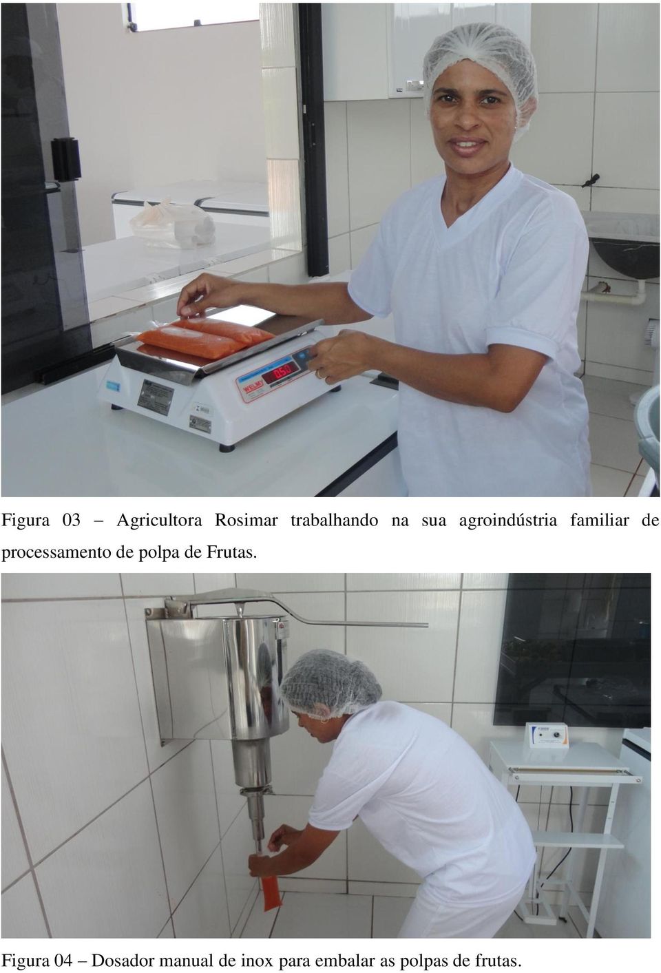 processamento de polpa de Frutas.