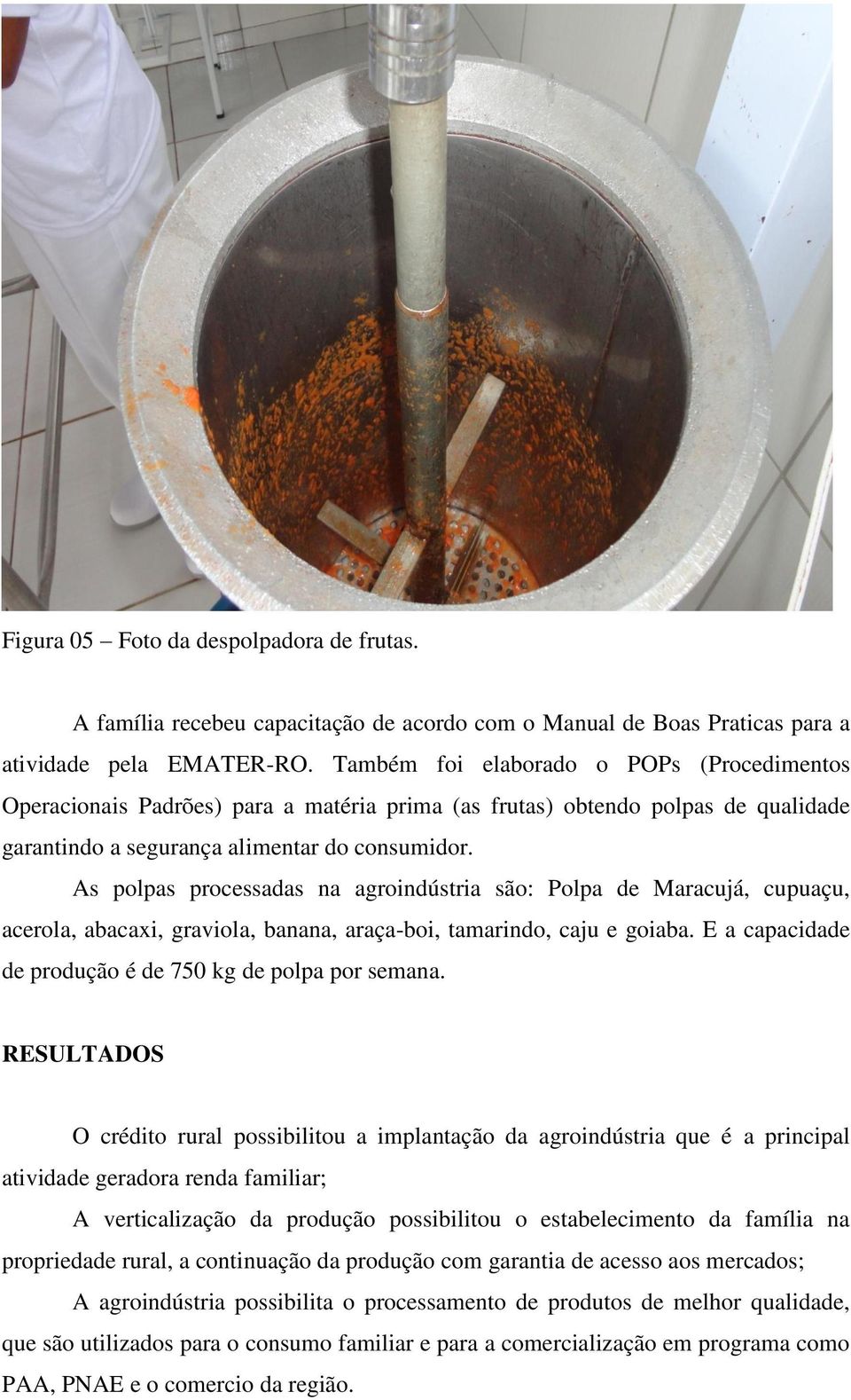 As polpas processadas na agroindústria são: Polpa de Maracujá, cupuaçu, acerola, abacaxi, graviola, banana, araça-boi, tamarindo, caju e goiaba.