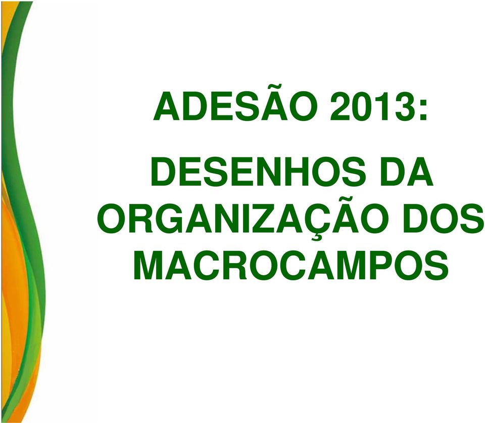 ORGANIZAÇÃO