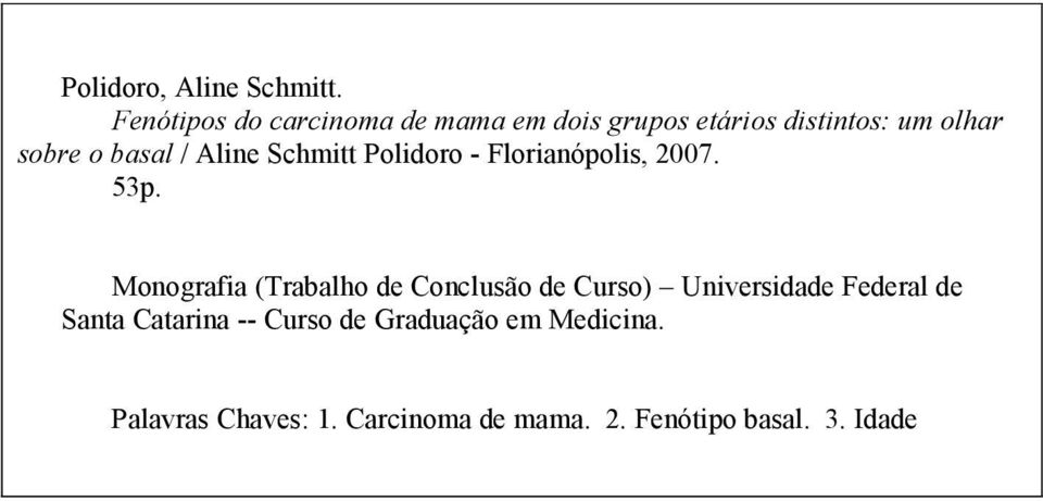 / Aline Schmitt Polidoro - Florianópolis, 2007. 53p.