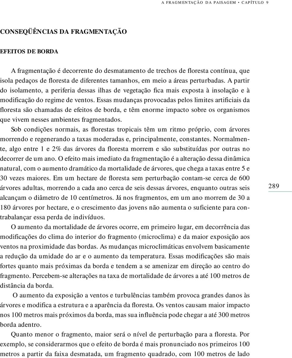 Essas mudanças provocadas pelos limites artificiais da floresta são chamadas de efeitos de borda, e têm enorme impacto sobre os organismos que vivem nesses ambientes fragmentados.