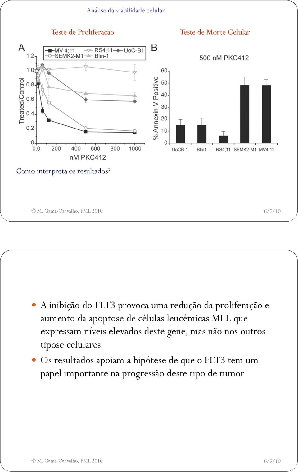 A inibição do FLT3 provoca uma redução da proliferação e aumento da apoptose de células