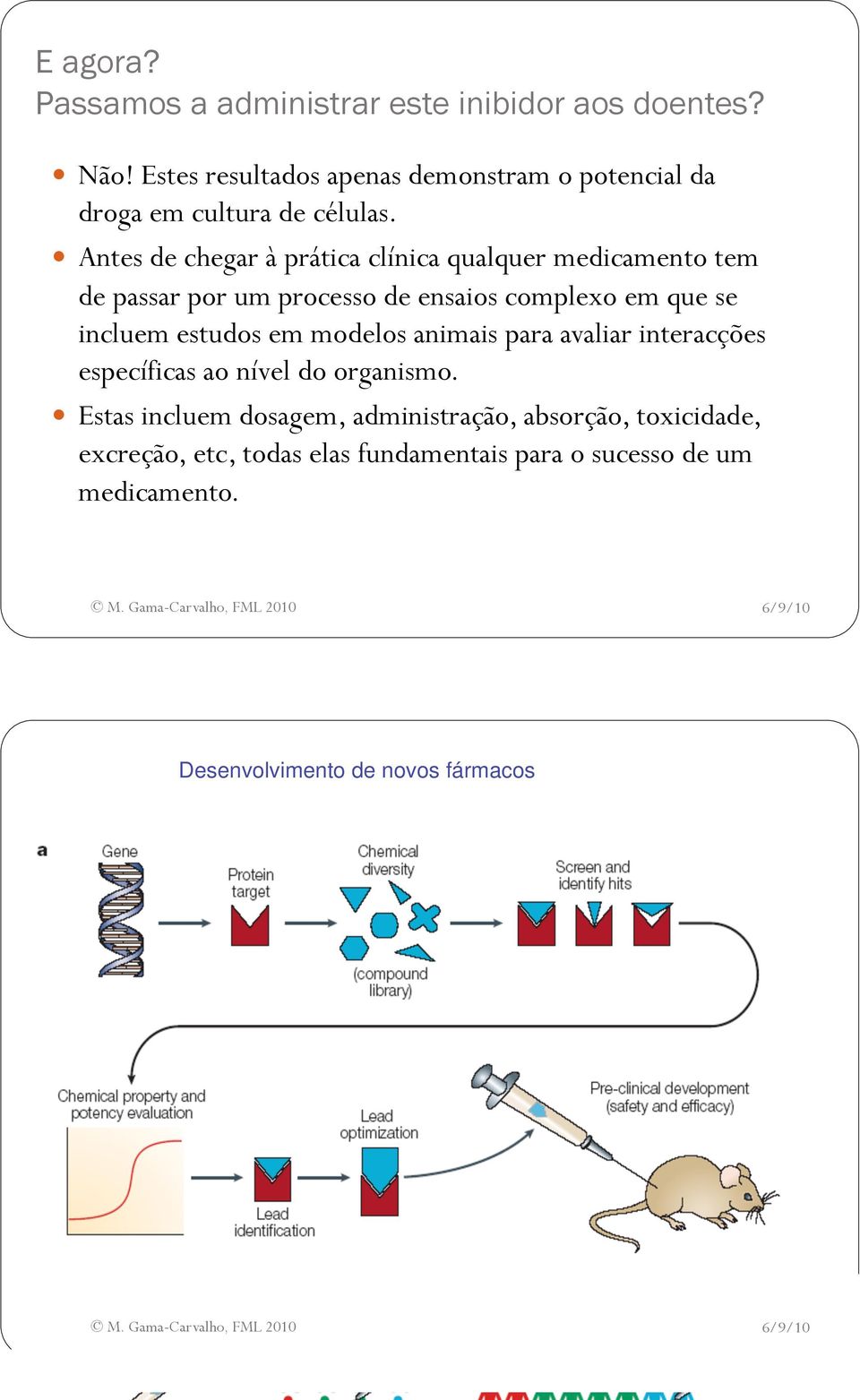 Antes de chegar à prática clínica qualquer medicamento tem de passar por um processo de ensaios complexo em que se incluem