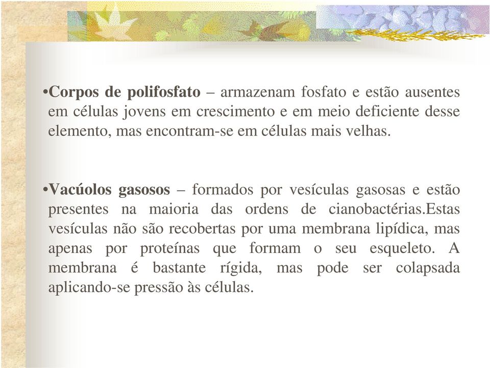 Vacúolos gasosos formados por vesículas gasosas e estão presentes na maioria das ordens de cianobactérias.