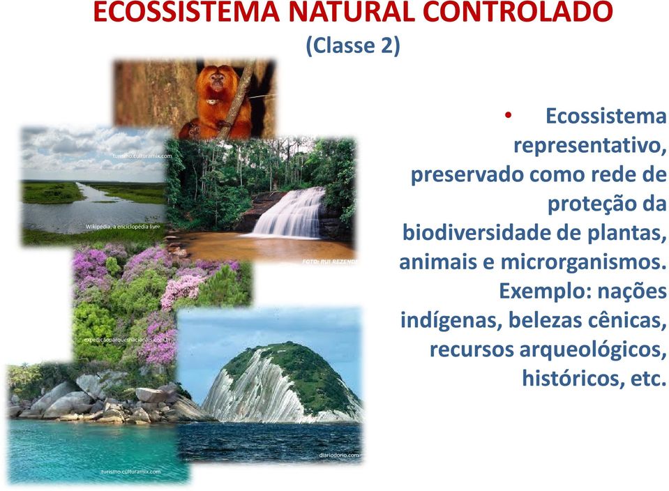 Exemplo: nações indígenas, belezas cênicas, recursos arqueológicos, históricos, etc. turismo.