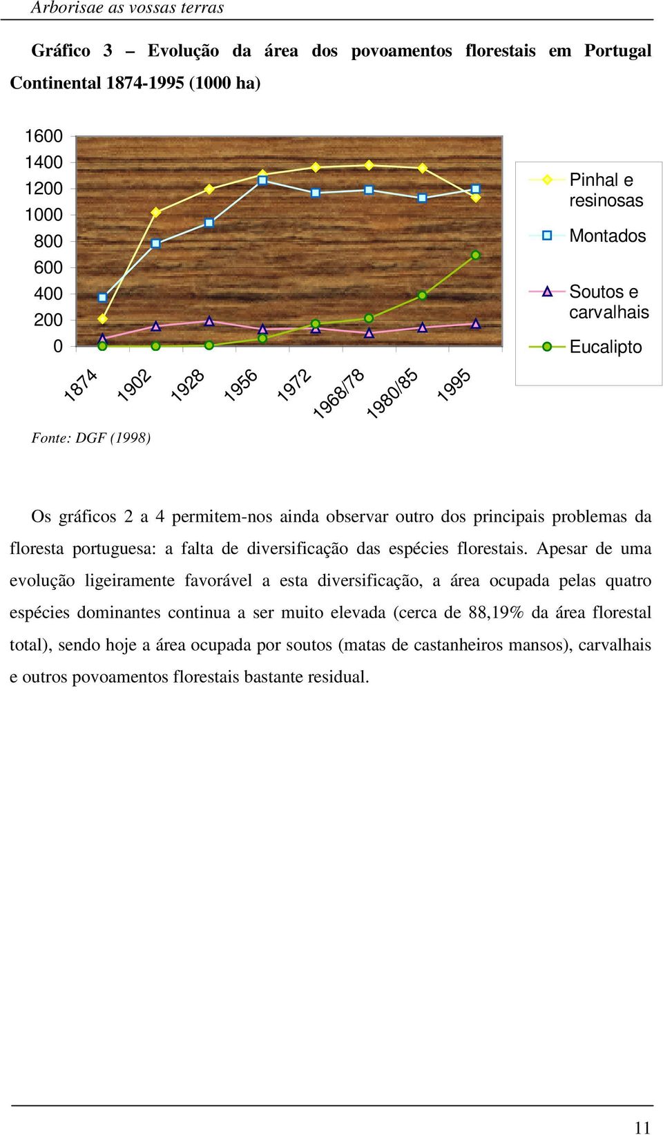 floresta portuguesa: a falta de diversificação das espécies florestais.