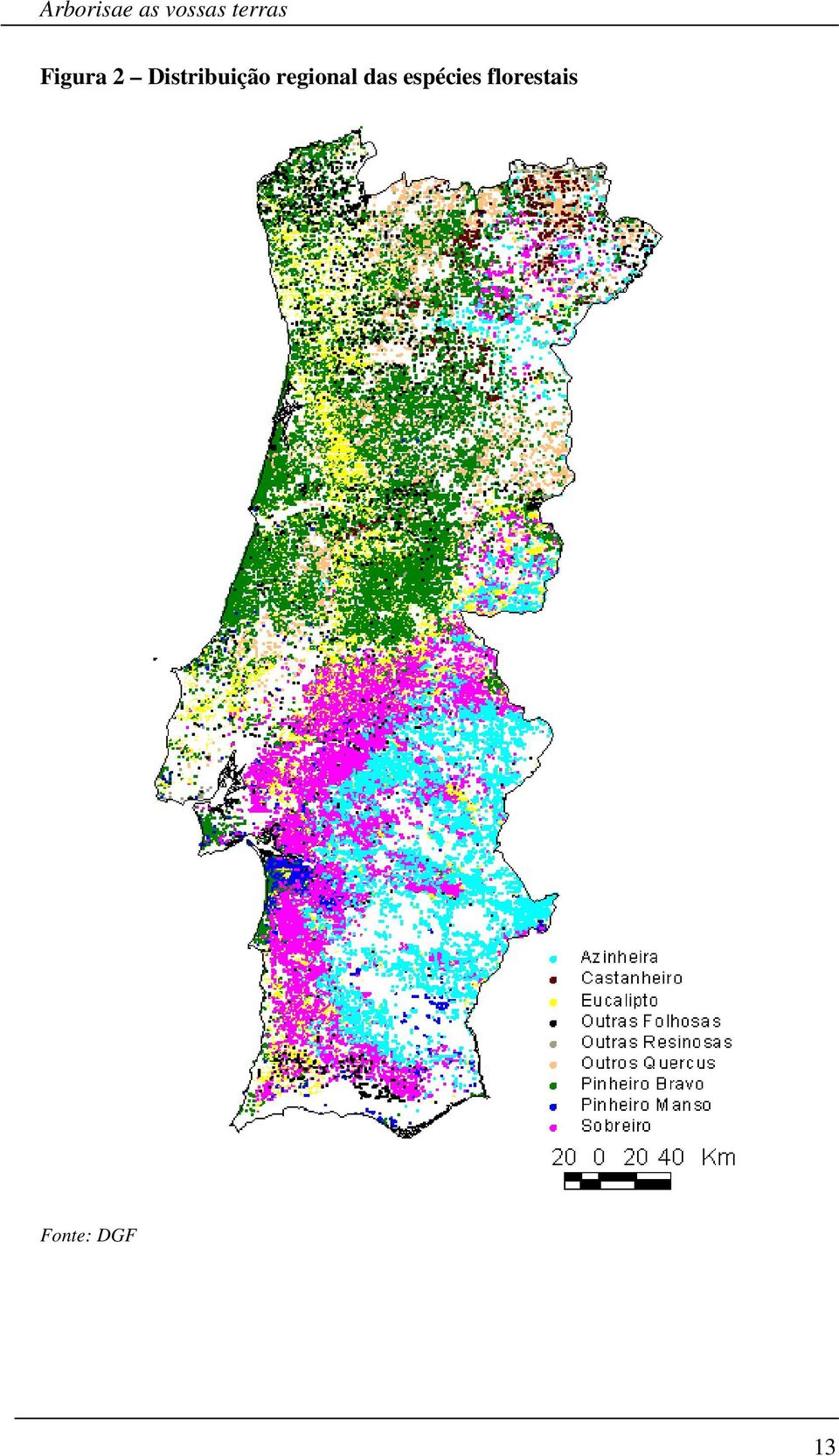 Distribuição regional