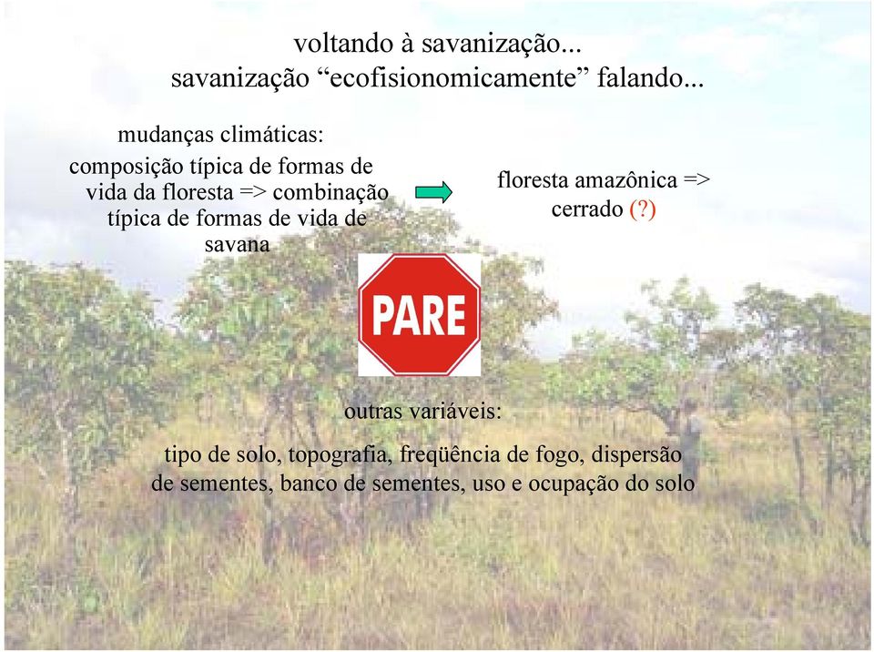 típica de formas de vida de savana floresta amazônica => cerrado (?