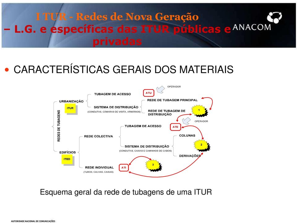 CARACTERÍSTICAS GERAIS DOS