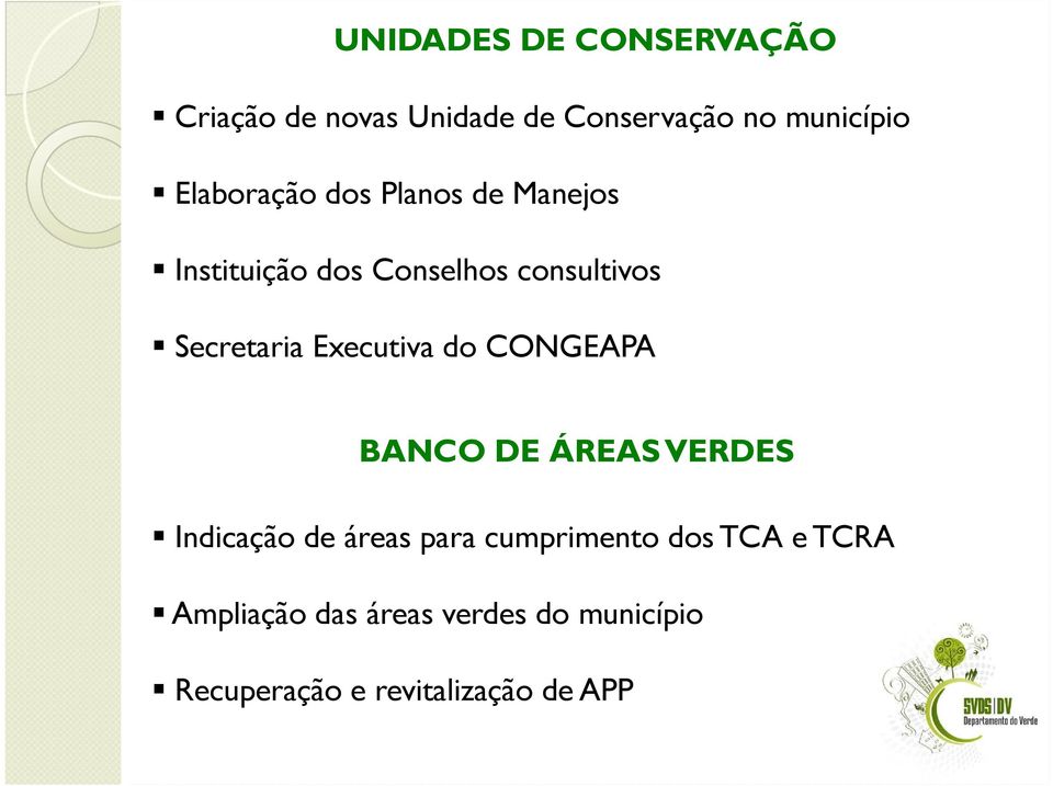 Executiva do CONGEAPA BANCO DE ÁREAS VERDES Indicação de áreas para cumprimento