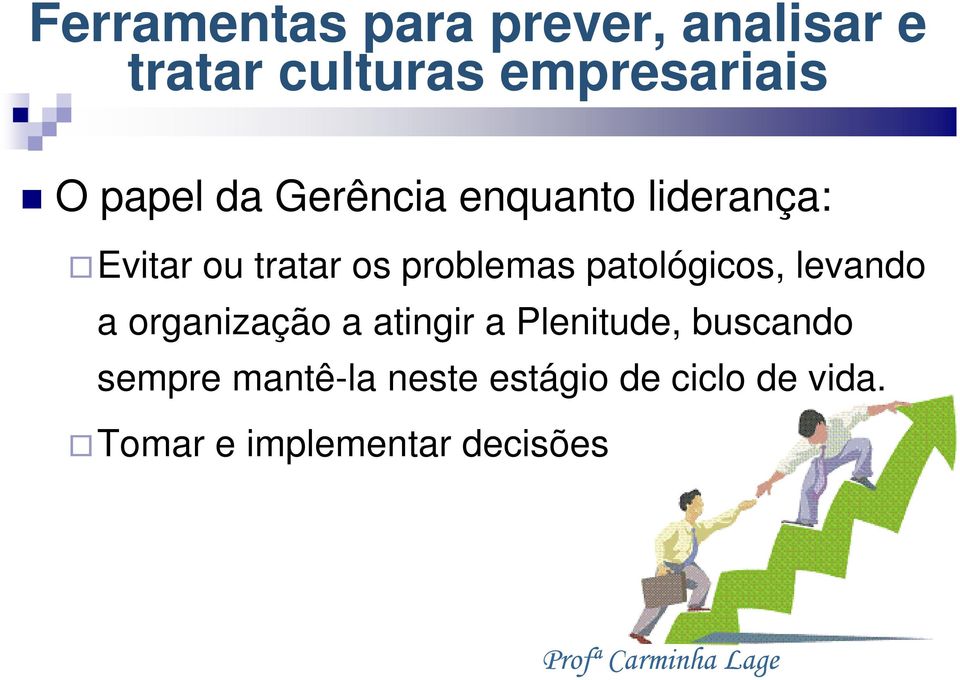 patológicos, levando a organização a atingir a Plenitude, buscando