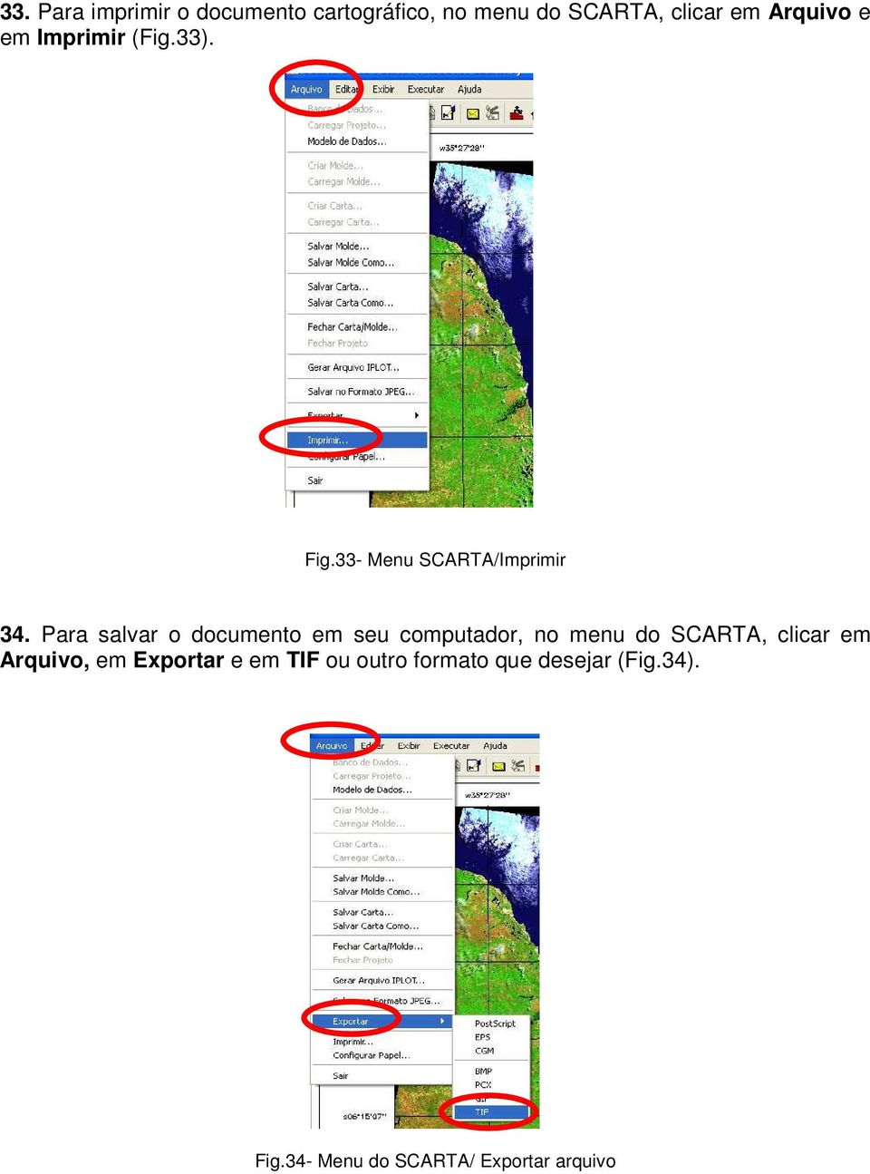 Para salvar o documento em seu computador, no menu do SCARTA, clicar em