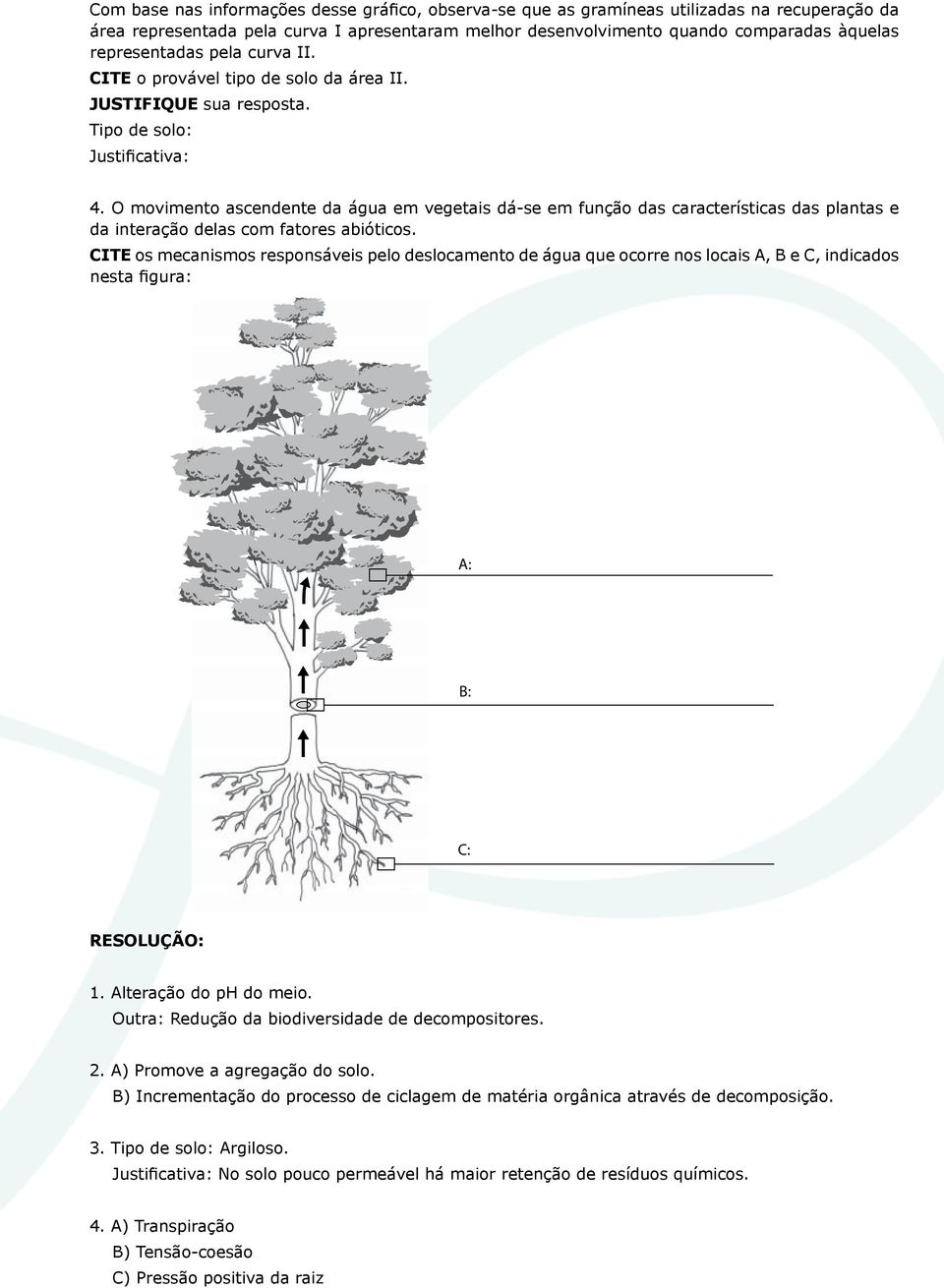 O movimento ascendente da água em vegetais dá-se em função das características das plantas e da interação delas com fatores abióticos.