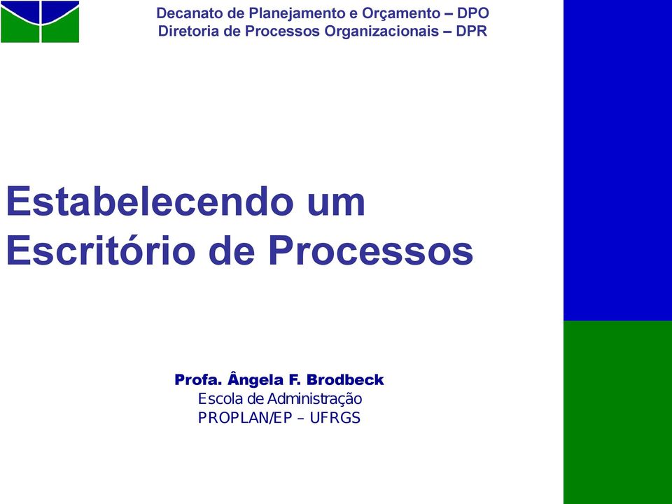 Estabelecendo um Escritório de Processos Profa.