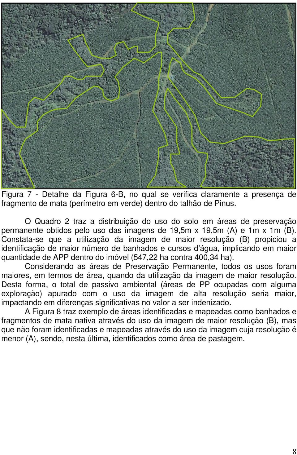 Constata-se que a utilização da imagem de maior resolução (B) propiciou a identificação de maior número de banhados e cursos d água, implicando em maior quantidade de APP dentro do imóvel (547,22 ha