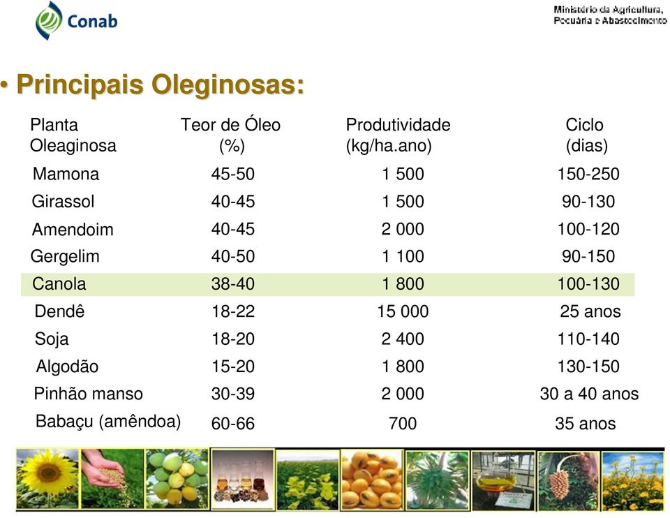 Gergelim 40-50 1 100 90-150 Canola 38-40 1 800 100-130 Dendê 18-22 15 000 25 anos Soja 18-20 2