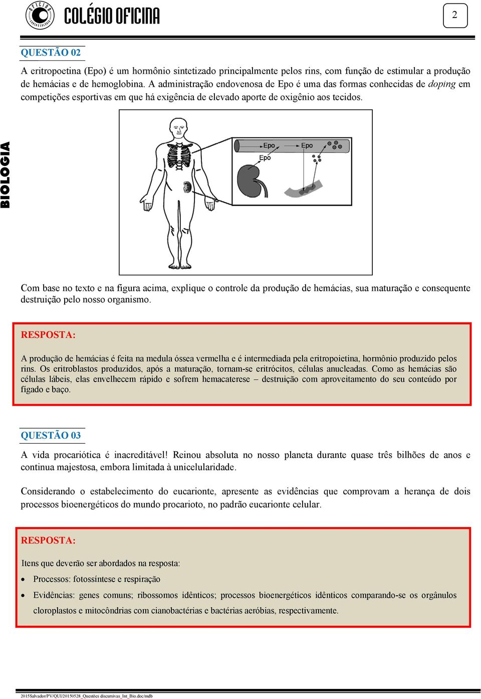 Com base no texto e na figura acima, explique o controle da produção de hemácias, sua maturação e consequente destruição pelo nosso organismo.