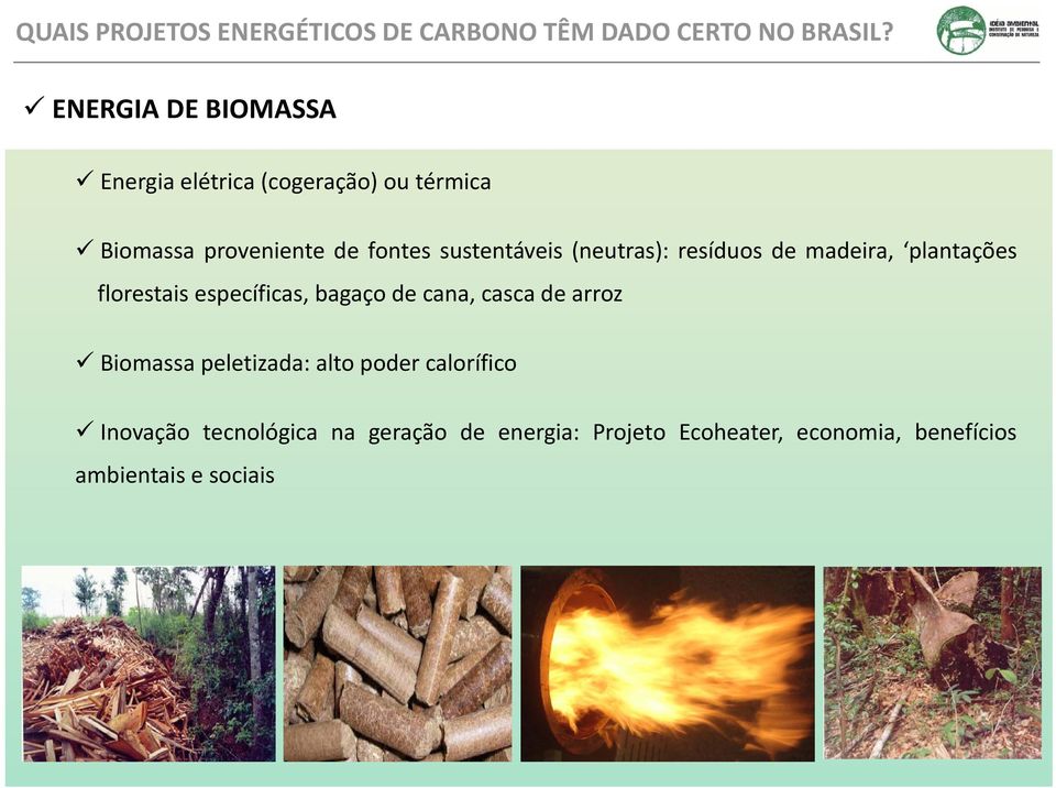 (neutras): resíduos de madeira, plantações florestais específicas, bagaço de cana, casca de arroz