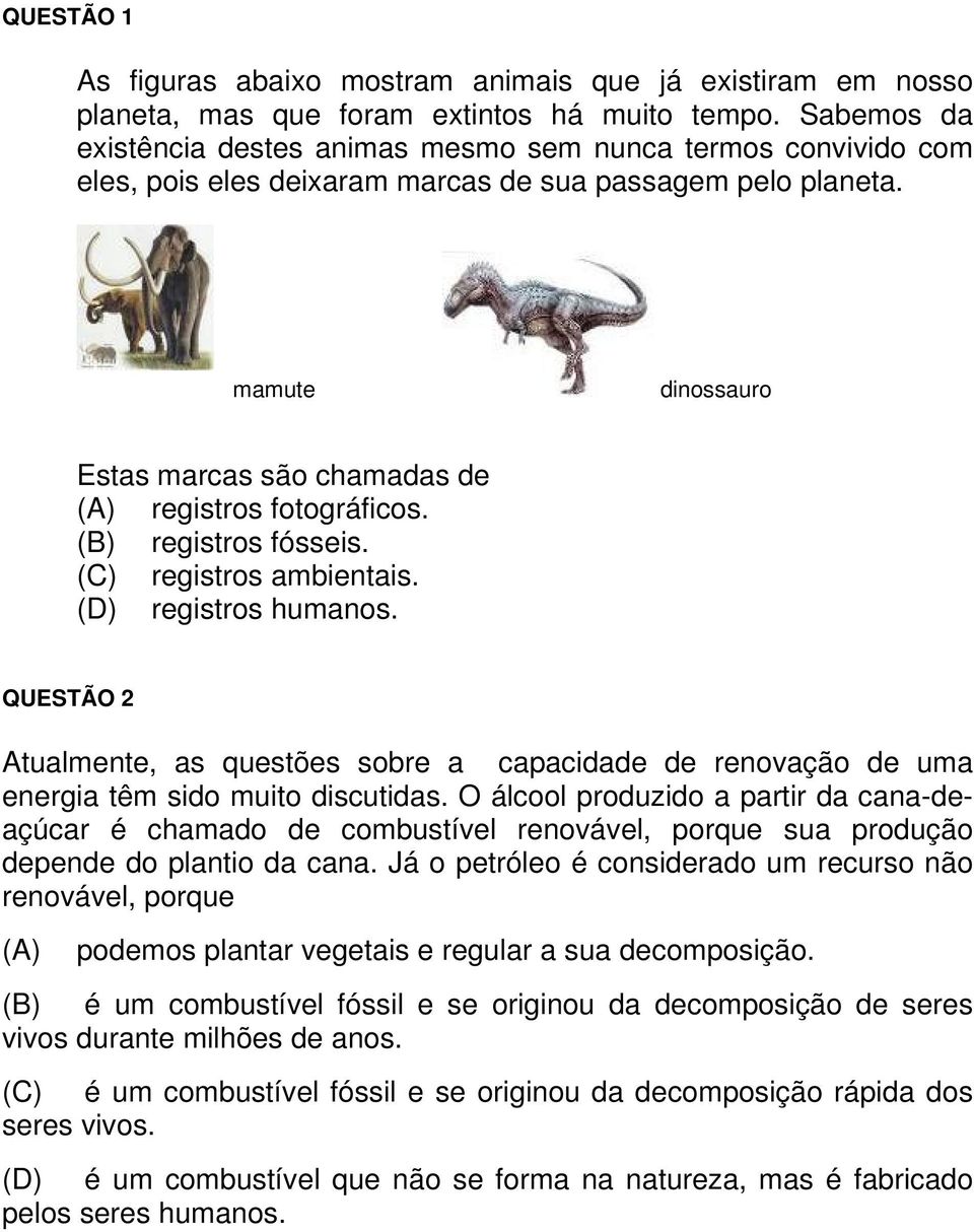 mamute dinossauro Estas marcas são chamadas de registros fotográficos. registros fósseis. registros ambientais. registros humanos.