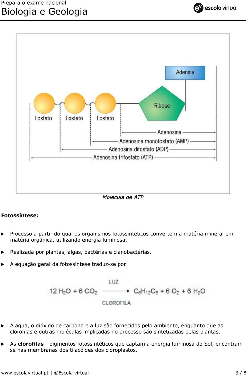 A equação geral da fotossíntese traduz-se por: A água, o dióxido de carbono e a luz são fornecidos pelo ambiente, enquanto que as clorofilas e outras