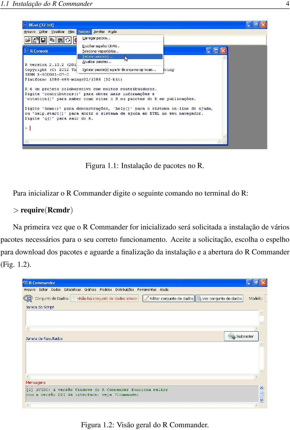 Commander for inicializado será solicitada a instalação de vários pacotes necessários para o seu correto funcionamento.