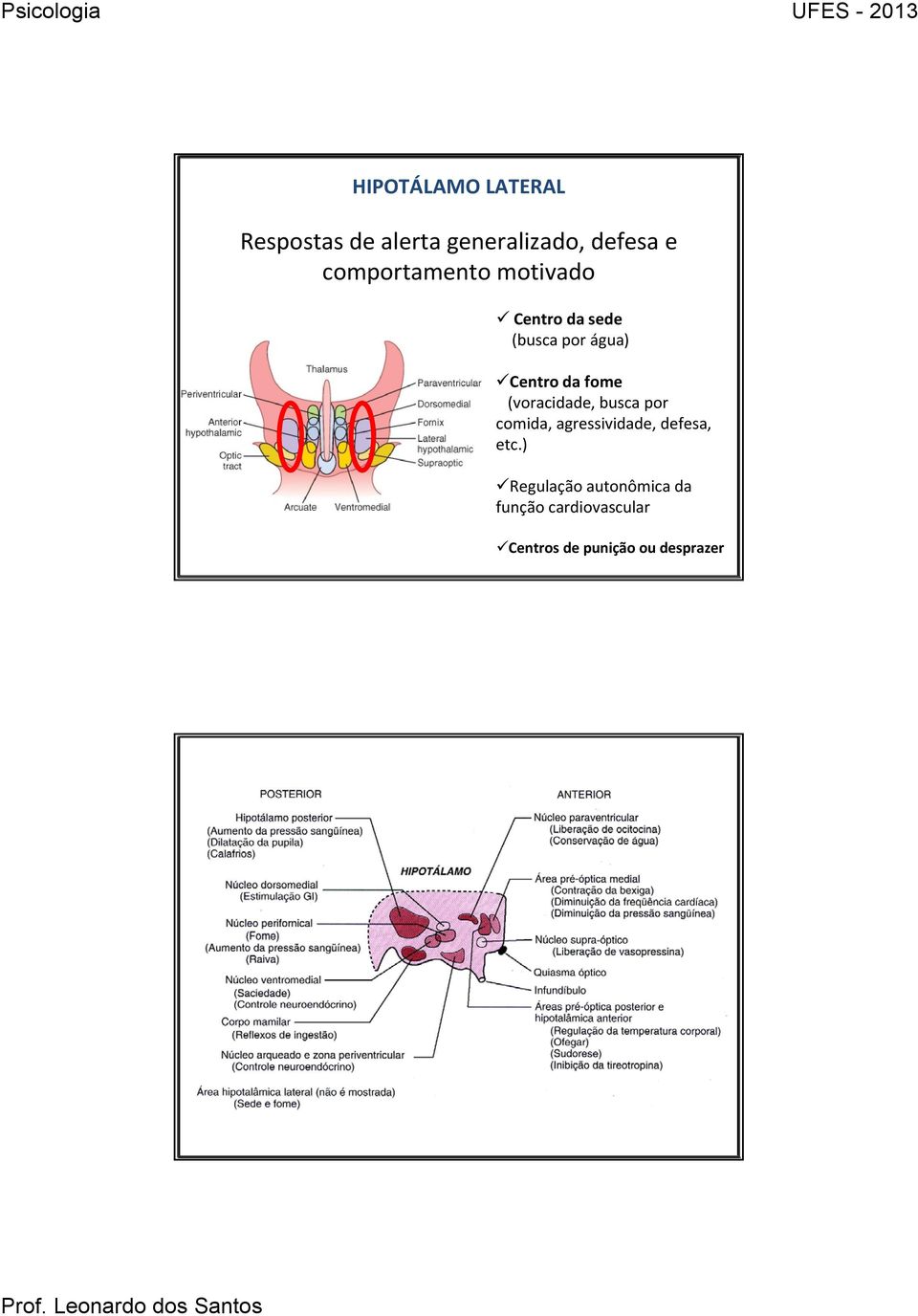 fome (voracidade, busca por comida, agressividade, defesa, etc.