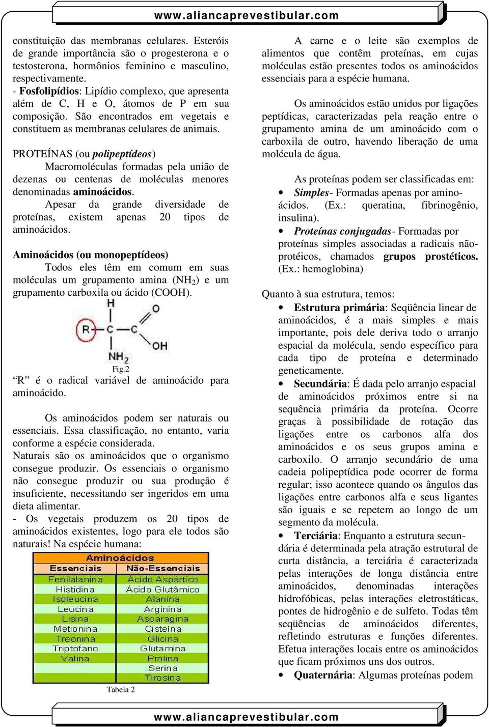 PROTEÍNAS (ou polipeptídeos) Macromoléculas formadas pela união de dezenas ou centenas de moléculas menores denominadas aminoácidos.