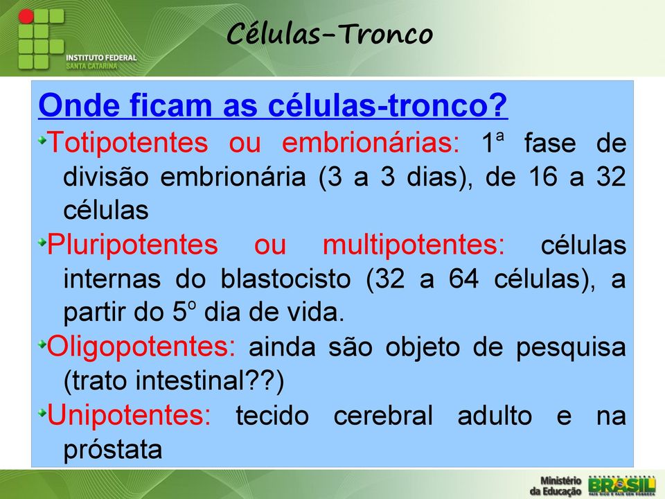 células Pluripotentes ou multipotentes: células internas do blastocisto (32 a 64 células),