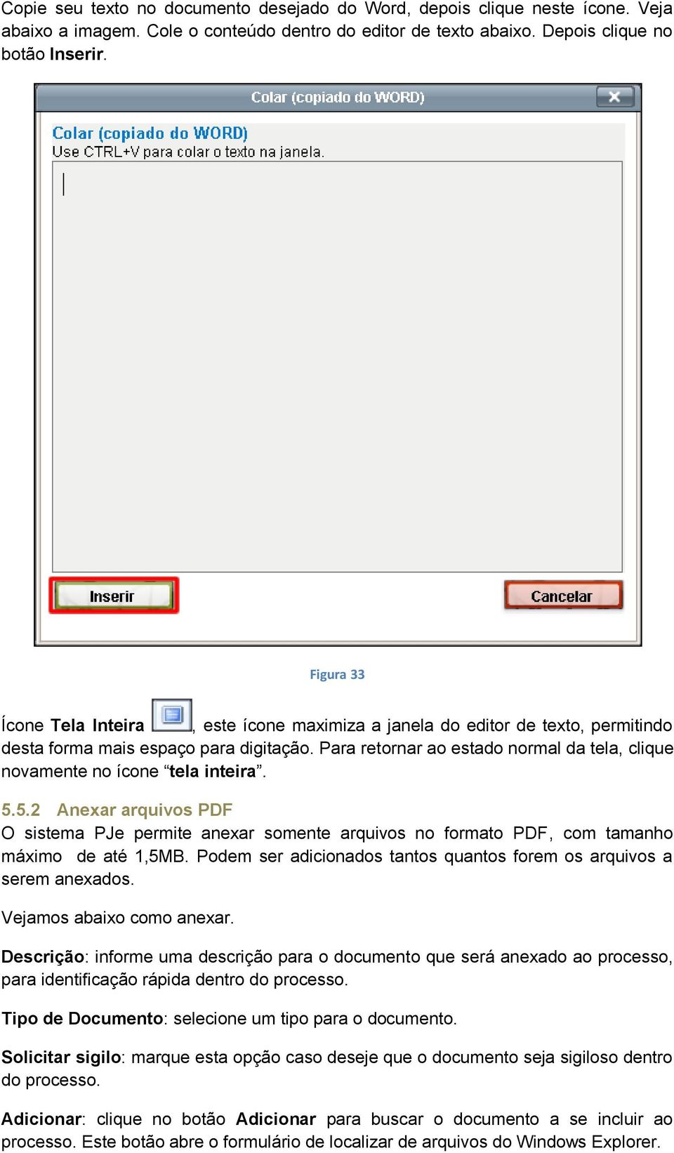 Para retornar ao estado normal da tela, clique novamente no ícone tela inteira. 5.5.2 Anexar arquivos PDF O sistema PJe permite anexar somente arquivos no formato PDF, com tamanho máximo de até 1,5MB.