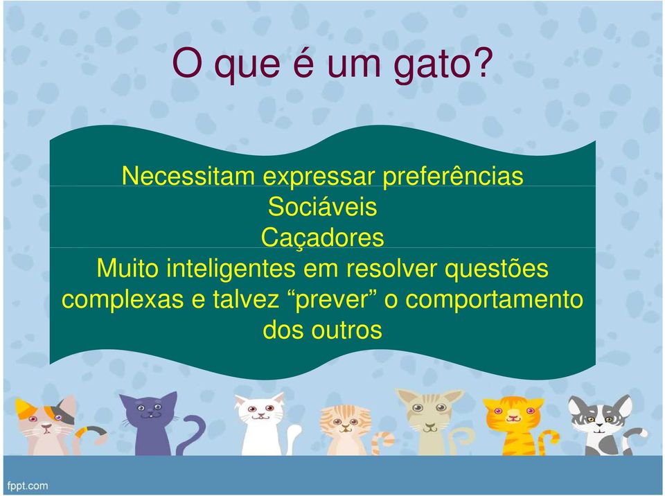 Sociáveis Caçadores Muito inteligentes