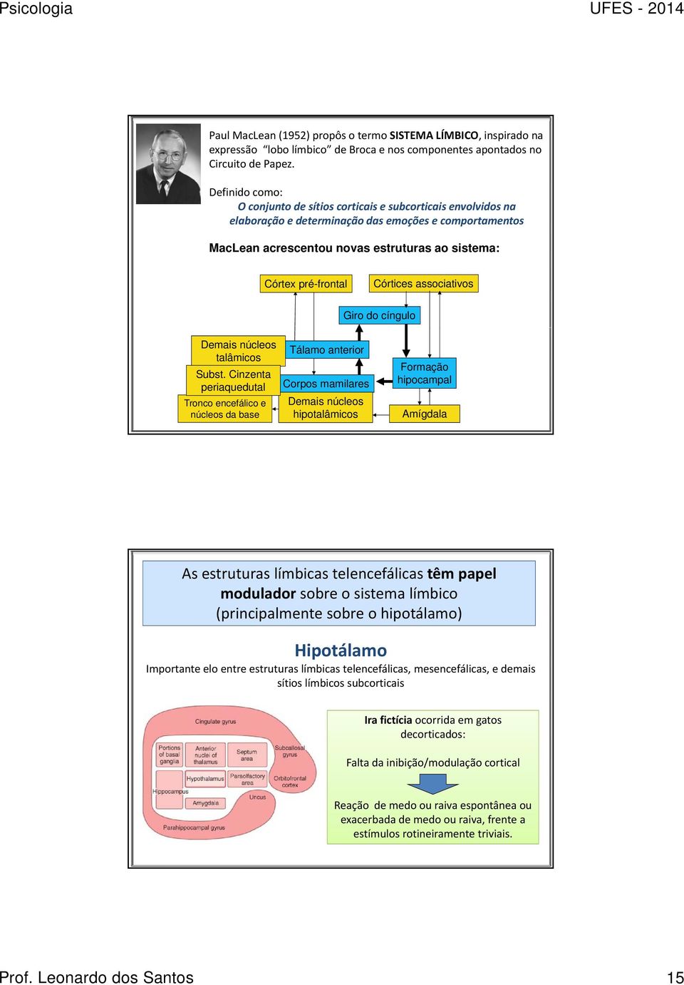 Córtices associativos Giro do cíngulo Demais núcleos talâmicos Subst.