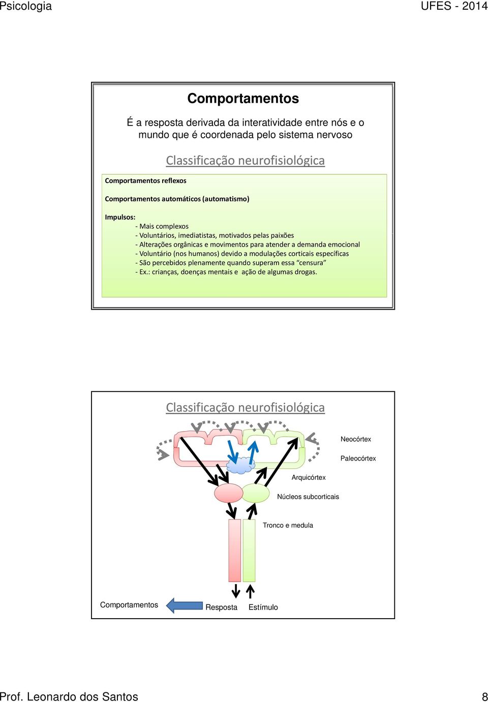 a demanda emocional Voluntário (nos humanos) devido a modulações corticais específicas São percebidos plenamente quando superam essa censura Ex.