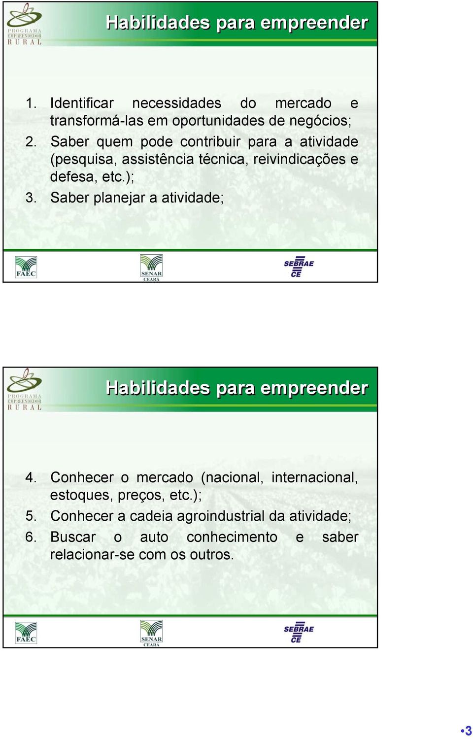 Saber planejar a atividade; Habilidades para empreender 4.